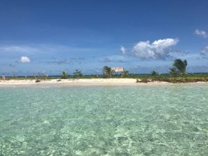 coco-mambo-28 coco-mambo-28
